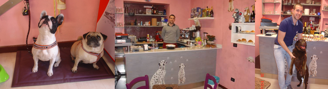 Bar per cani Torino